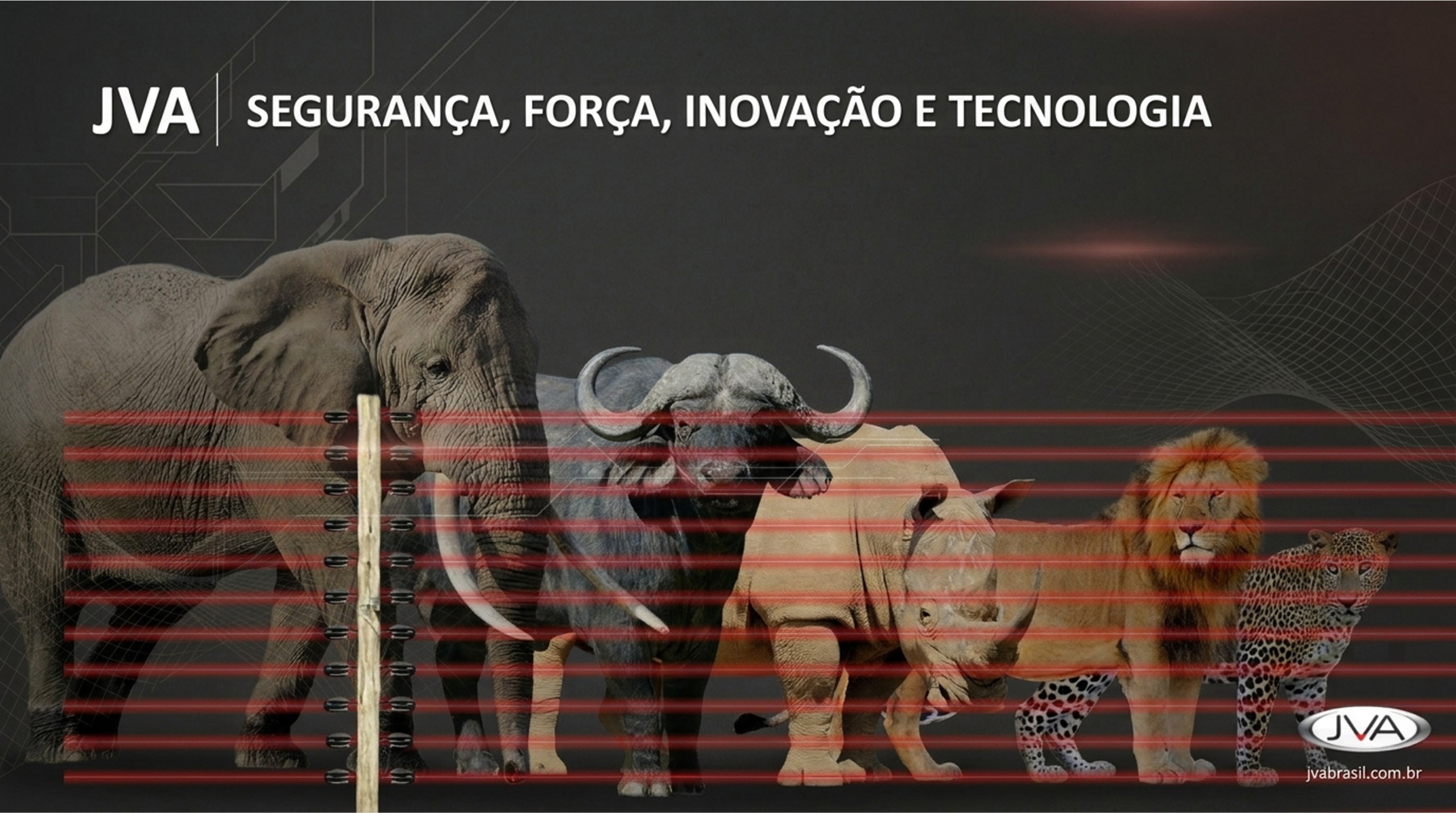 Imagem1
